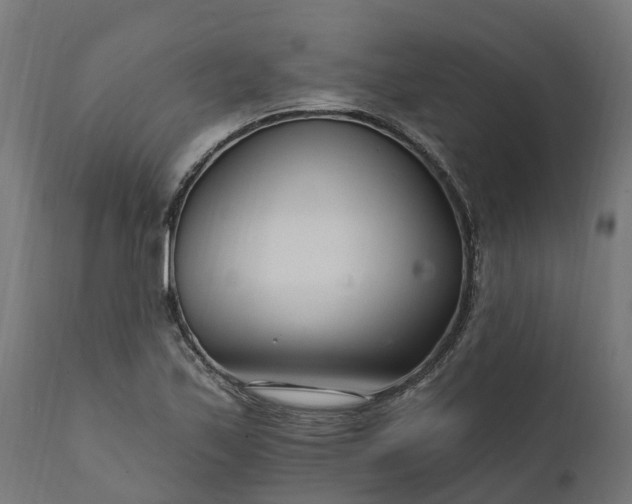 X0000111511171200907281307