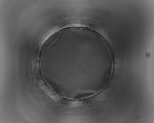X0000111511173200907281307