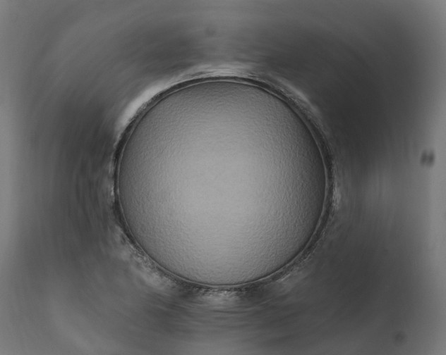 X0000111511174200907281307