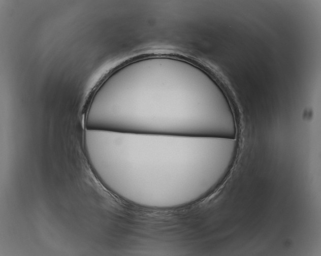 X0000111511175200907281307