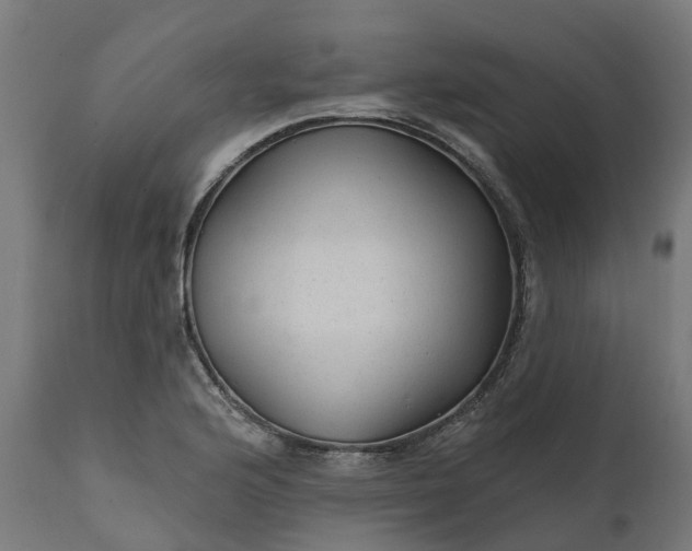 X0000111511176200907281307