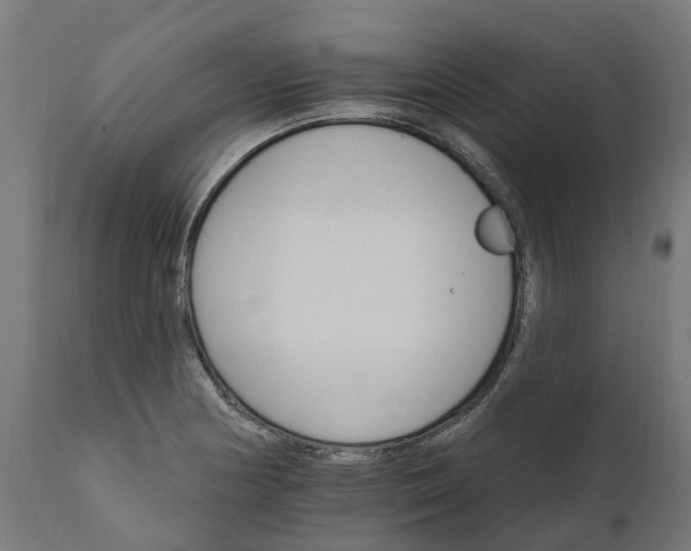 X0000111511178200907281307