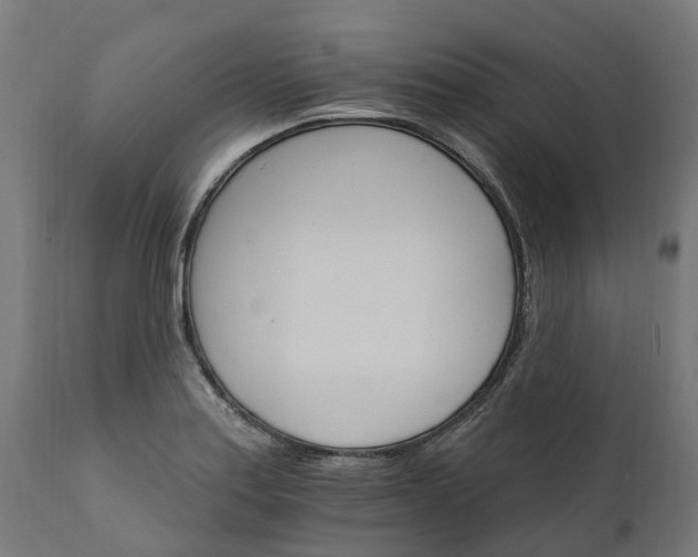 X0000111511179200907281307