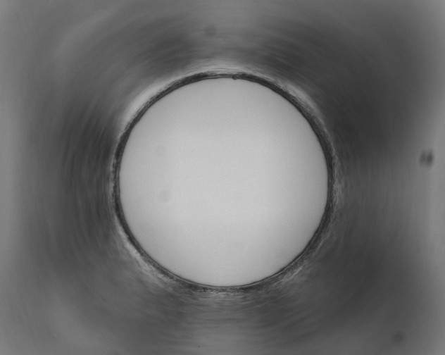 X0000111511183200907281307