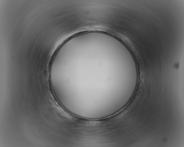 X0000111511184200907281307
