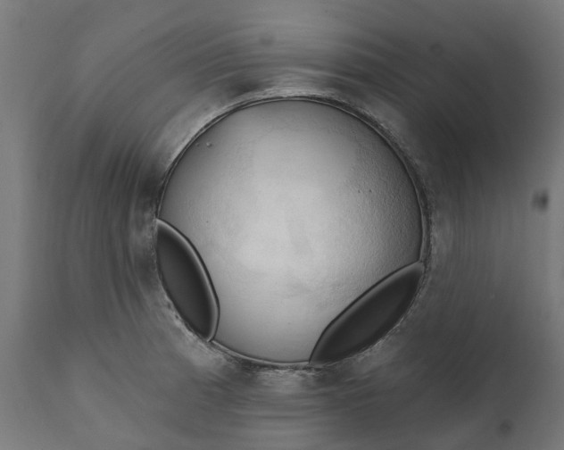 X0000111511185200907281307