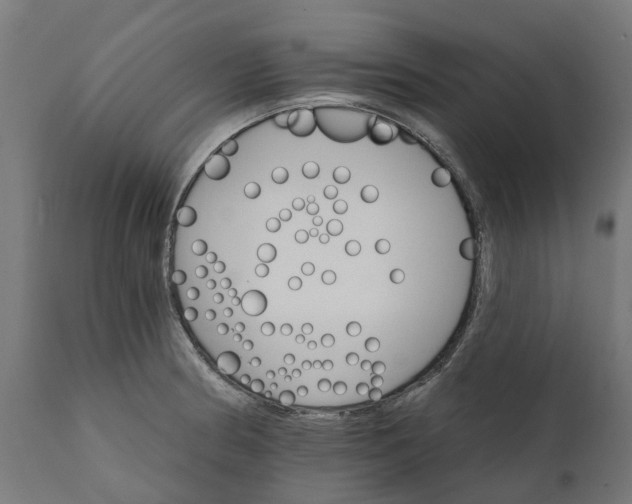 X0000111511186200907281307