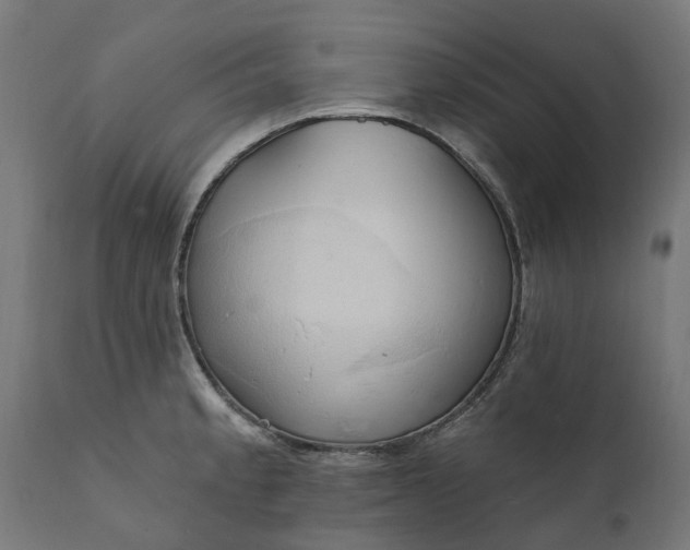 X0000111511189200907281307