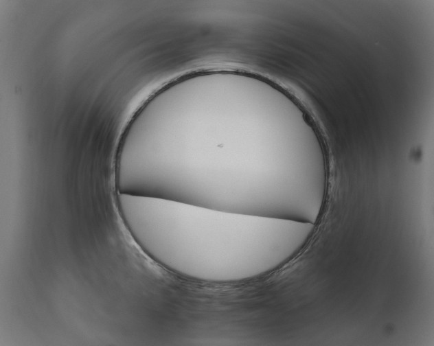 X0000111511191200907281307