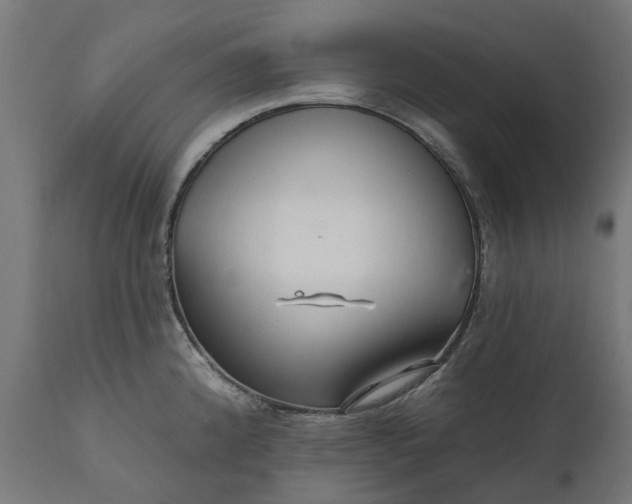 X0000111511192200907281307
