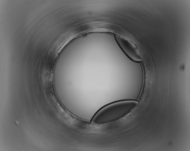 X0000111511193200907281307