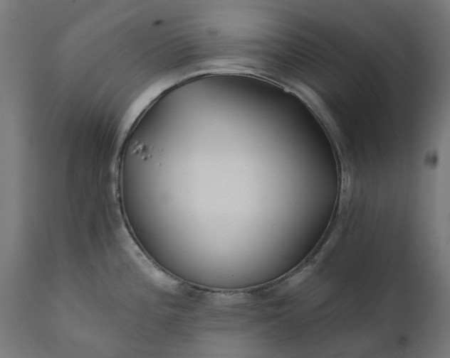 X0000111511196200907281307
