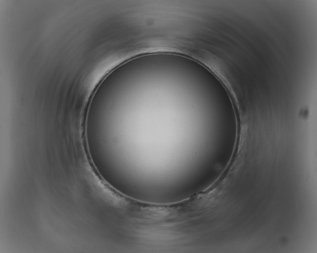 X0000111511197200907281307