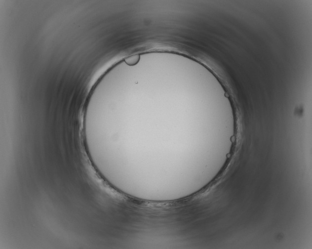 X0000111511198200907281307