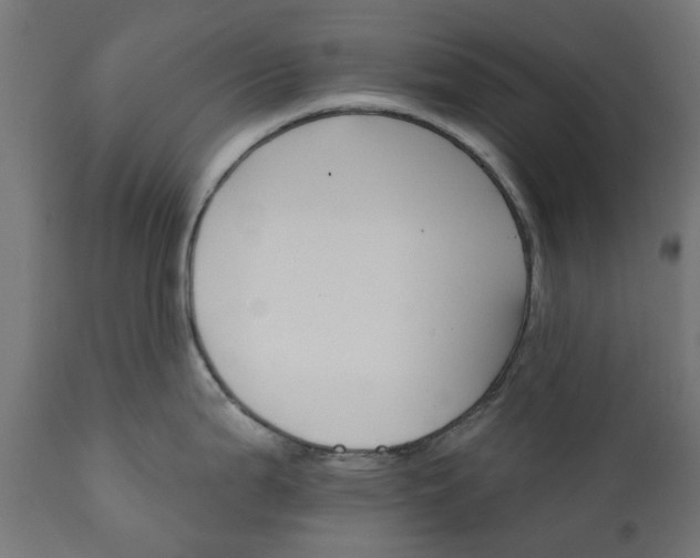 X0000111511199200907281307