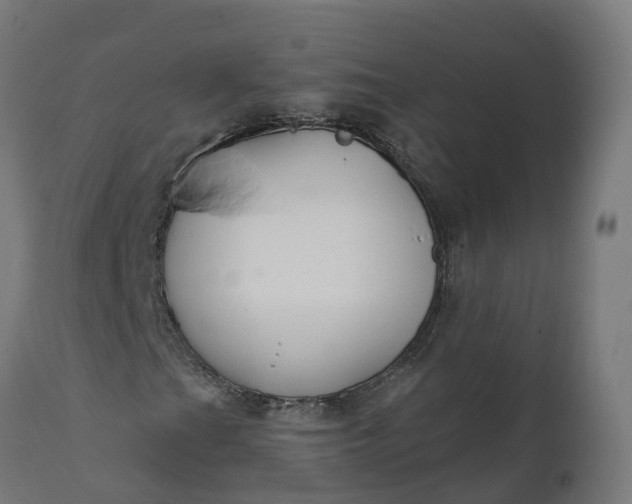 X0000111511201200907281306