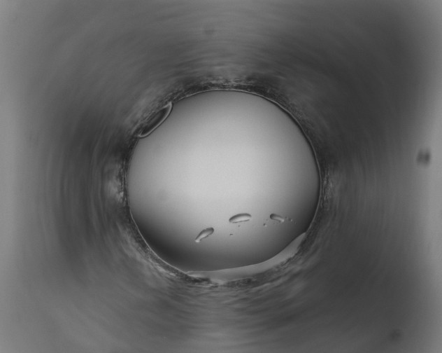 X0000111511202200907281306