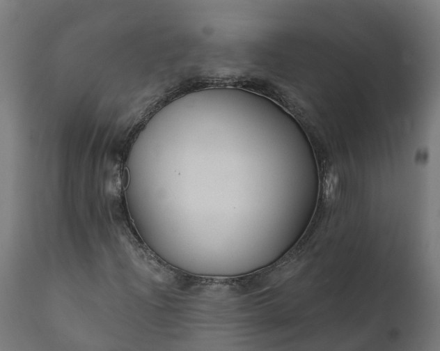 X0000111511204200907281306