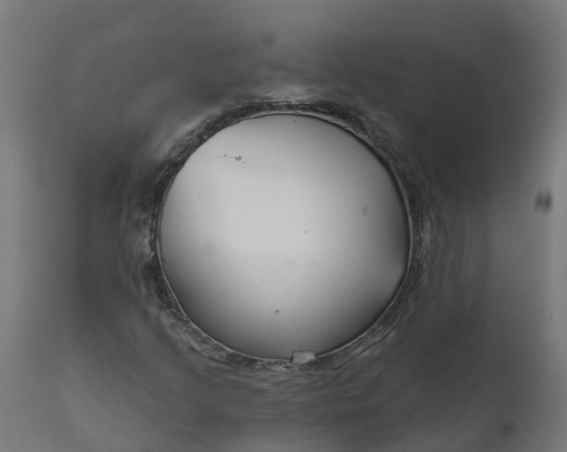 X0000111511205200907281306