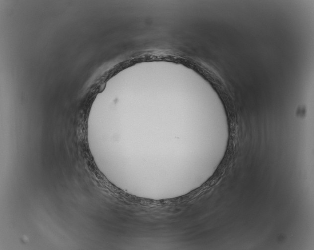 X0000111511207200907281306