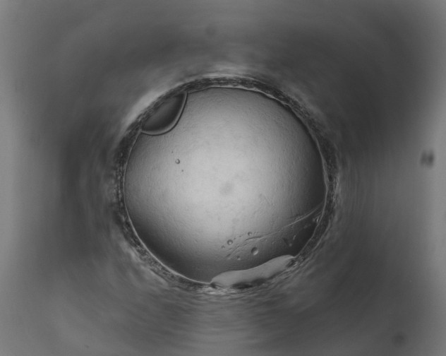 X0000111511208200907281306