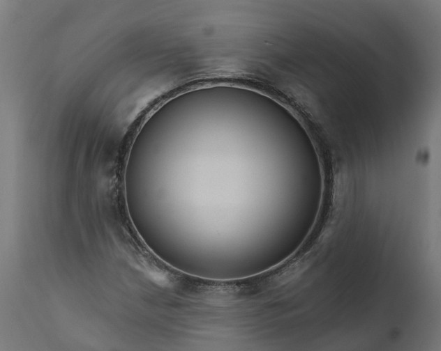 X0000111511210200907281306