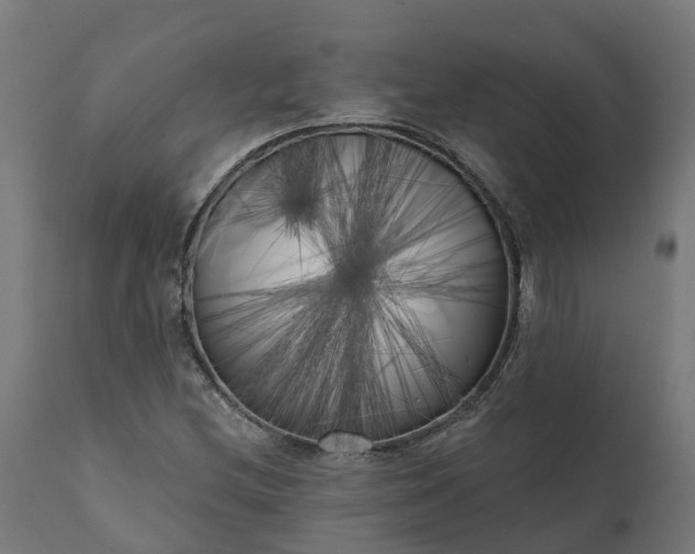 X0000111511212200907281306