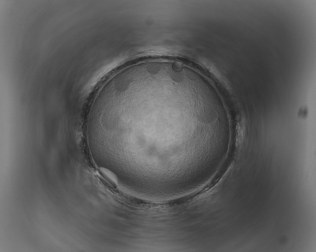 X0000111511213200907281306