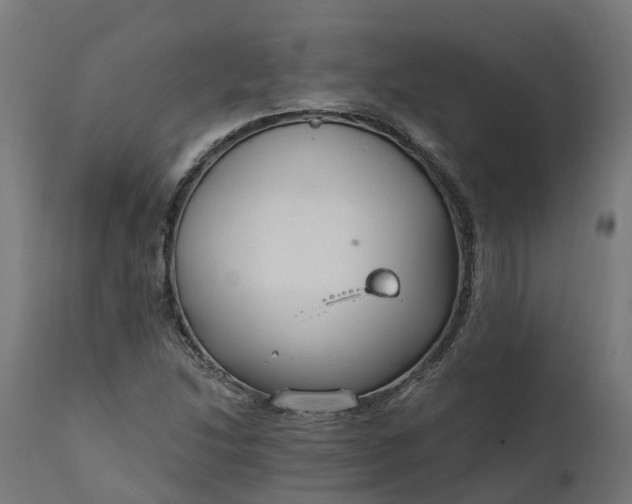 X0000111511214200907281306