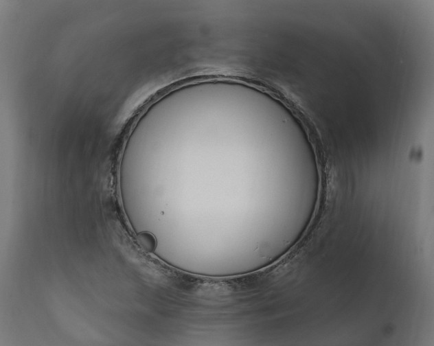 X0000111511215200907281306