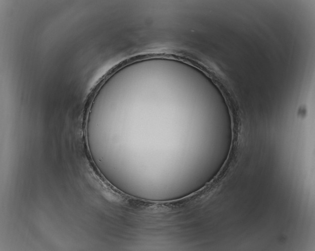 X0000111511216200907281306