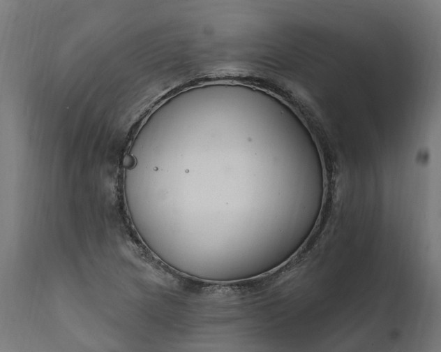 X0000111511217200907281307