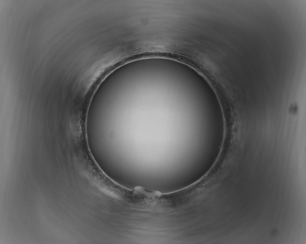 X0000111511218200907281307