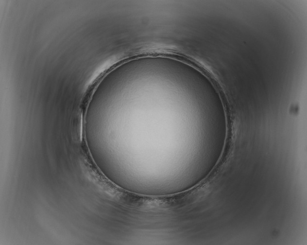 X0000111511219200907281307