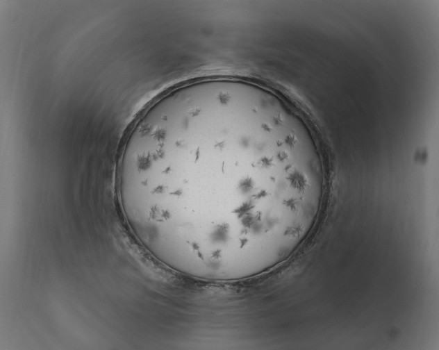 X0000111511220200907281307