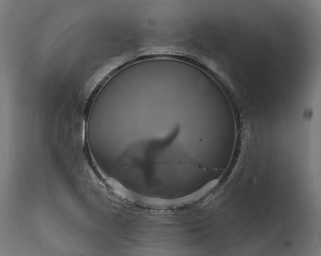 X0000111511221200907281307