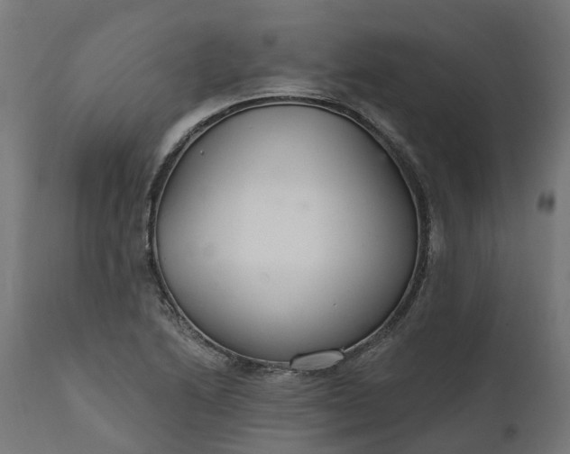 X0000111511222200907281307