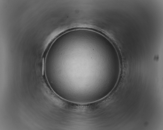X0000111511223200907281307