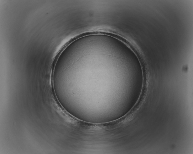 X0000111511224200907281307