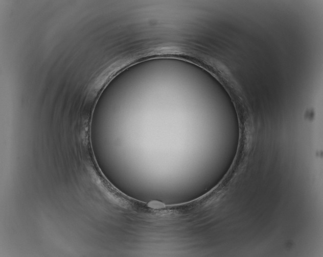 X0000111511225200907281307