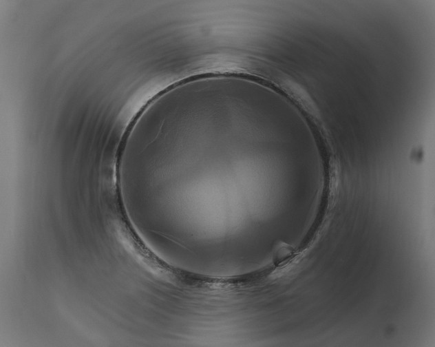X0000111511226200907281307