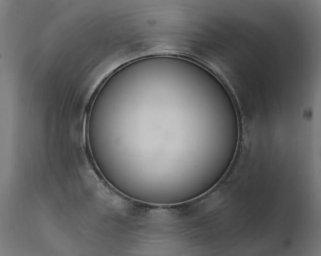 X0000111511227200907281307