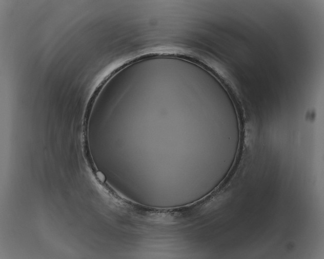 X0000111511229200907281307