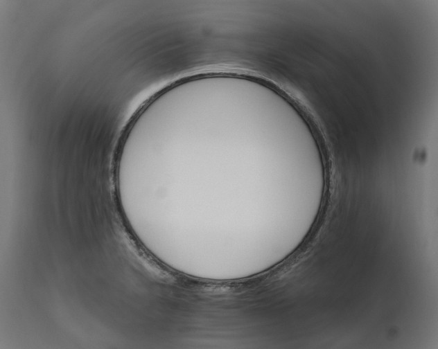 X0000111511230200907281307