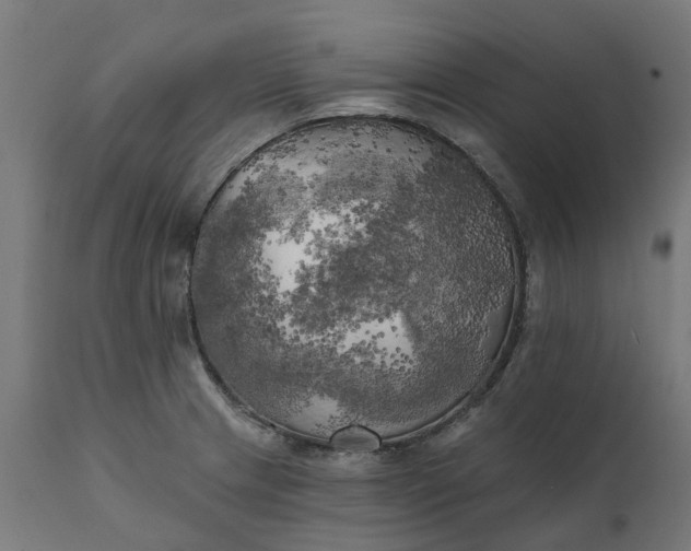 X0000111511233200907281307
