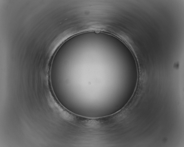 X0000111511235200907281307