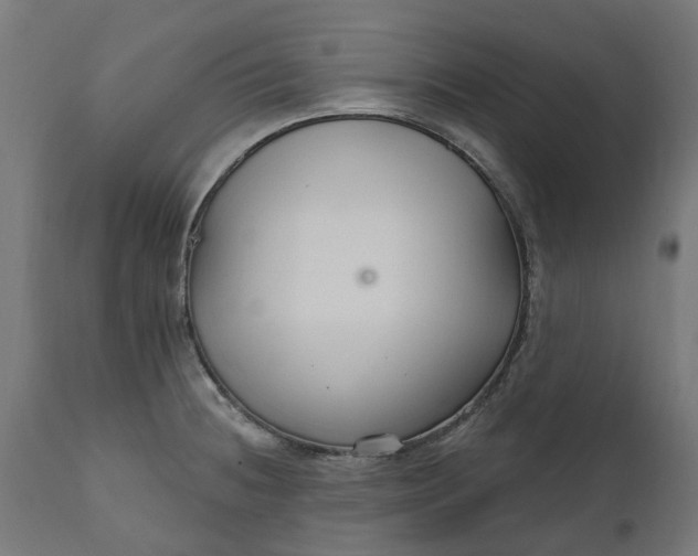 X0000111511236200907281307