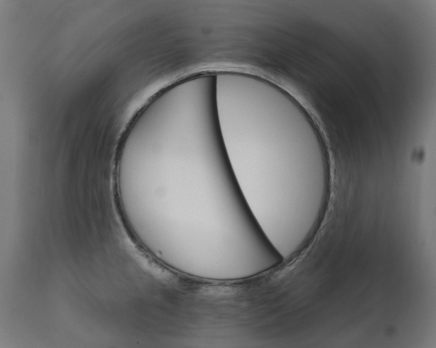 X0000111511237200907281307