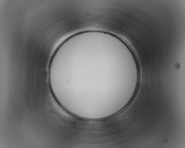 X0000111511238200907281307