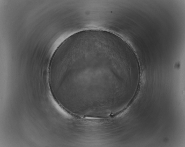 X0000111511239200907281307